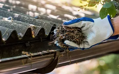 Limpieza de canaletas con mucha suciedad y hojas